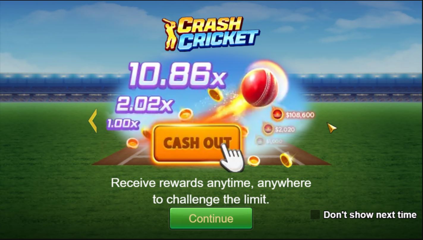 Crash Cricket Game